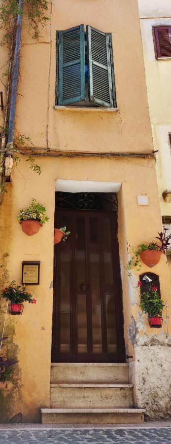 Affitto Turistico - La Terrazzina Apartment Monterotondo  Exterior photo